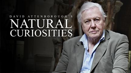 Attenborough's Natural Curiosities poster