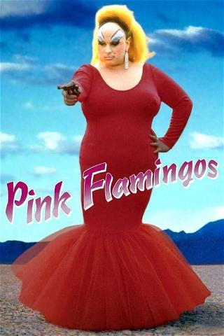 Pink Flamingos - Ali Abbasi vælger film poster