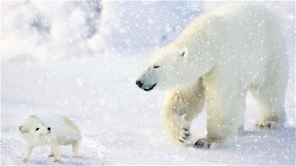 Isbjörnarnas äventyrliga resa poster