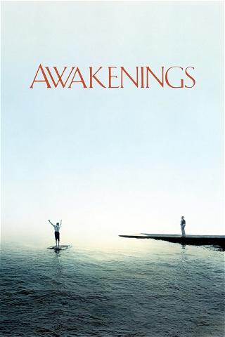 Despertares (Awakenings) poster