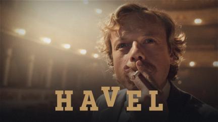 Havel poster