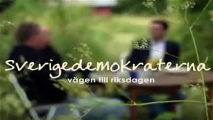 Sverigedemokraterna - vägen till riksdagen poster