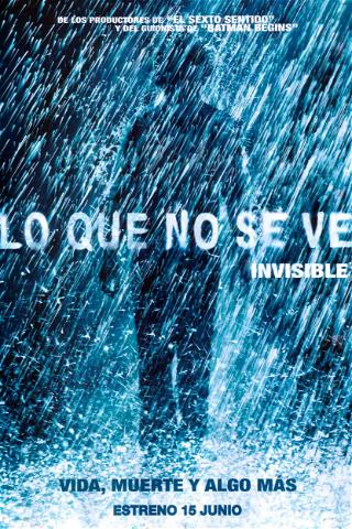 Lo que no se ve (The Invisible) poster