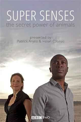 Super Senses: The Secret Power of Animals poster