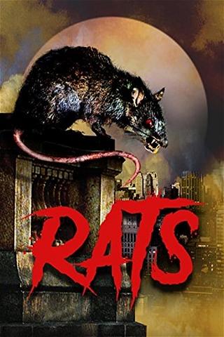 Rats - Mörderische Brut poster