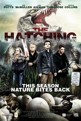 The Hatching poster