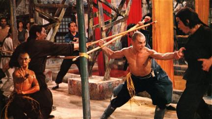 Die Erben der 36 Kammern der Shaolin poster