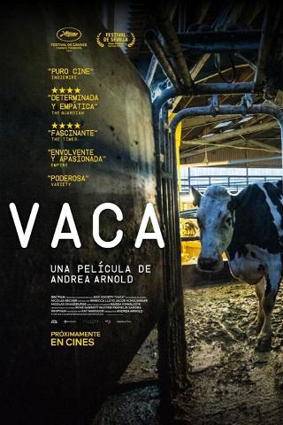 Vaca poster