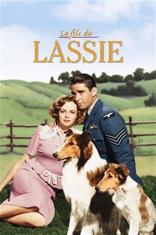 Le Fils de Lassie poster