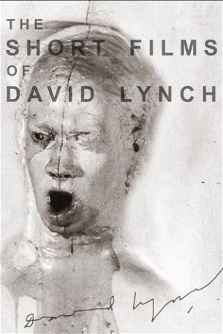 Short Films of David Lynch poster