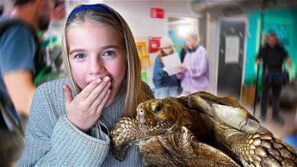 Den magiske klub Ekstra: Filmer med en KÆMPE skildpadde poster
