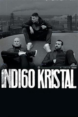 Indigo Crystal poster