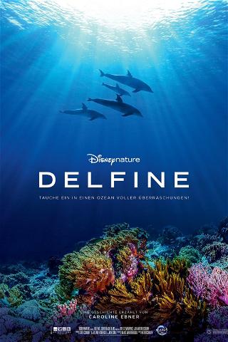 Delfine poster