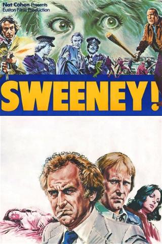 La squadra speciale dell'ispettore Swenney poster