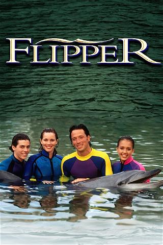 Flippers neue Abenteuer poster