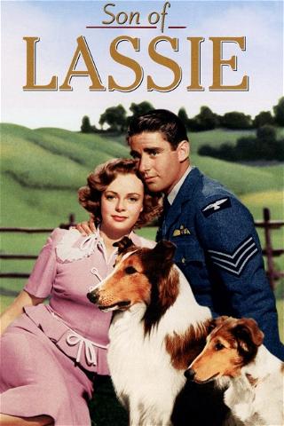 Lassien poika (Son of Lassie) poster