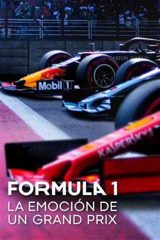 Fórmula 1: La emoción de un Grand Prix poster
