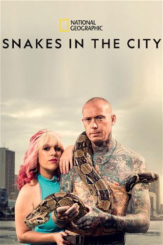 Snakes In The City poster