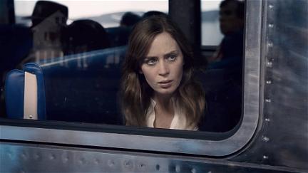 Kvinden i toget poster