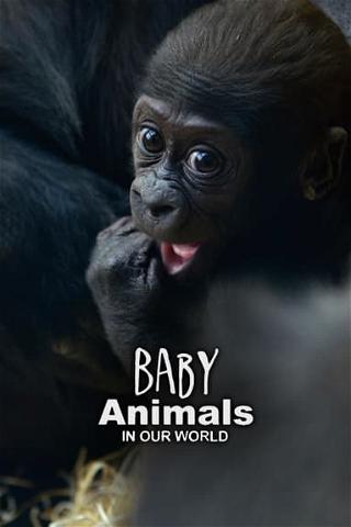 Baby Animals in Our World poster
