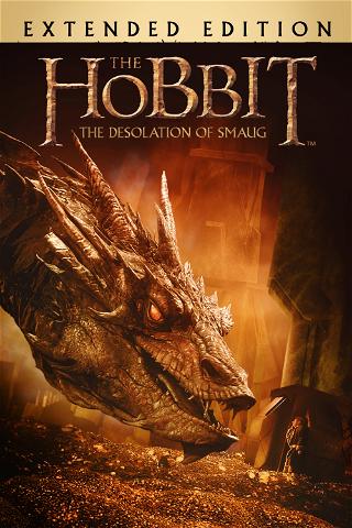 The Hobbit: The Desolation of Smaug (Extended Edition) poster