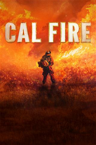 Cal Fire poster