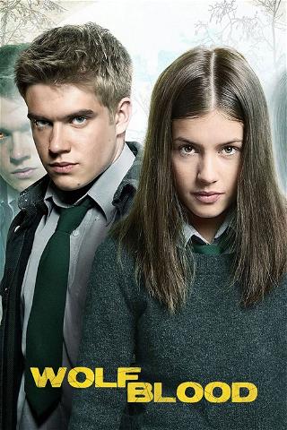Wolfblood - Sangue di lupo poster