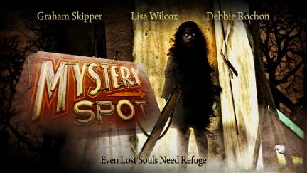 Mystery Spot poster