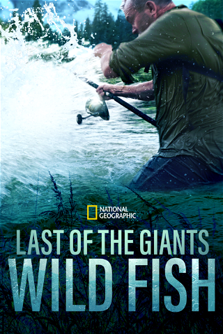 Die letzten Giganten: Riesenfische poster