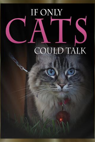 If Only Cats Could Talk poster
