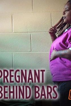 Pregnant Behind Bars poster