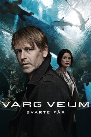 Varg Veum - Oveja negra poster