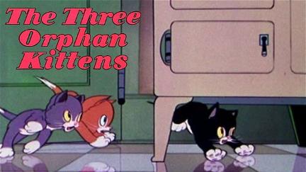 Three Orphan Kittens poster