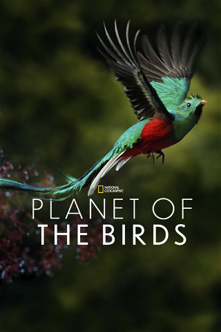 Planet of the Birds poster