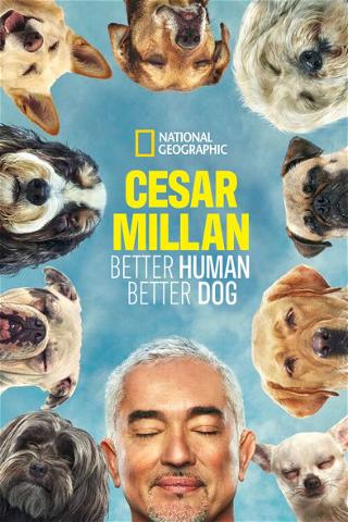 Cesar Millan poster