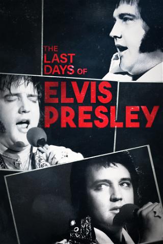 The Last Days of Elvis Presley poster