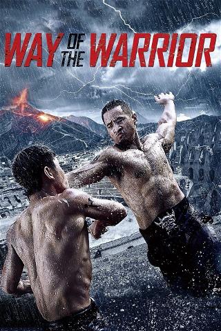 Way of the Warrior poster