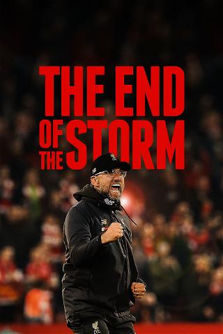 The End of the Storm poster
