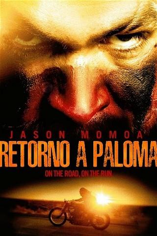 Camino a Paloma poster