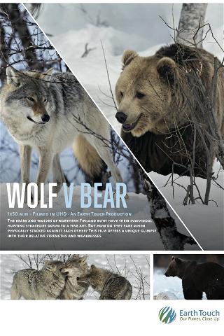 Wolf vs Bear poster