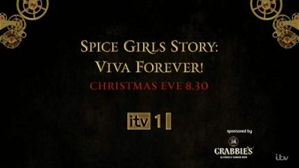 The Spice Girls Story: Viva Forever! poster