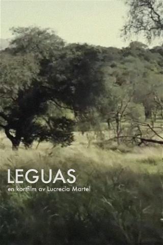 Leguas poster