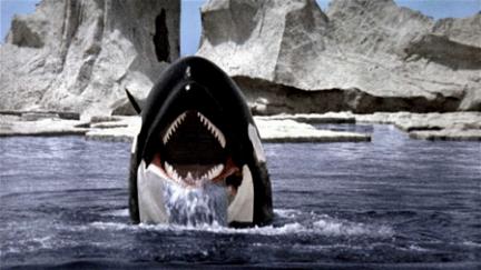 Orca: A Baleia Assassina poster
