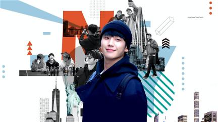 Jung Hae In's Travel Log poster