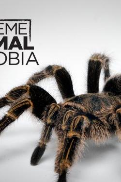 My Extreme Animal Phobia poster