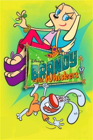 Brandy & Mr. Whiskers poster