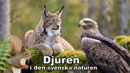 Djuren i den svenska naturen poster