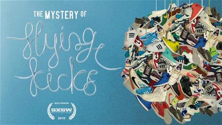 The Mystery of Flying Kicks poster
