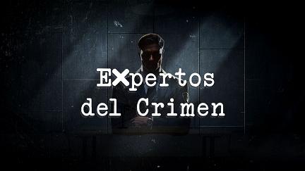 Expertos del crimen poster