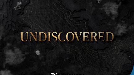 Undiscovered poster